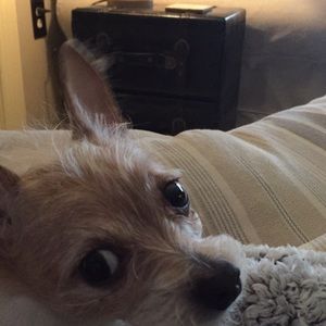 Meet your Posher, Mary